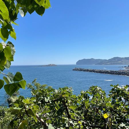 Bertoko Urdaibai II Appartement Bermeo Buitenkant foto
